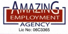 Maid Agency: Amazing Employment Agency