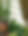 maid photo of Manjinder kaur, har_01