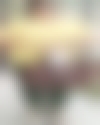 maid photo of AMRIK KAUR, SAI # 2094