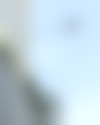 maid photo of Uma Pradhan_O, OSMAC_IND_01627