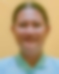 maid photo of MEGA VERONICA, BGM-003